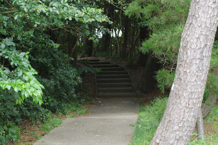 Potemkin Steps