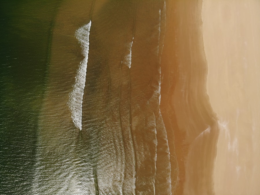 Дельфінарій