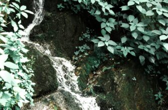 Photo Водопад Шипот