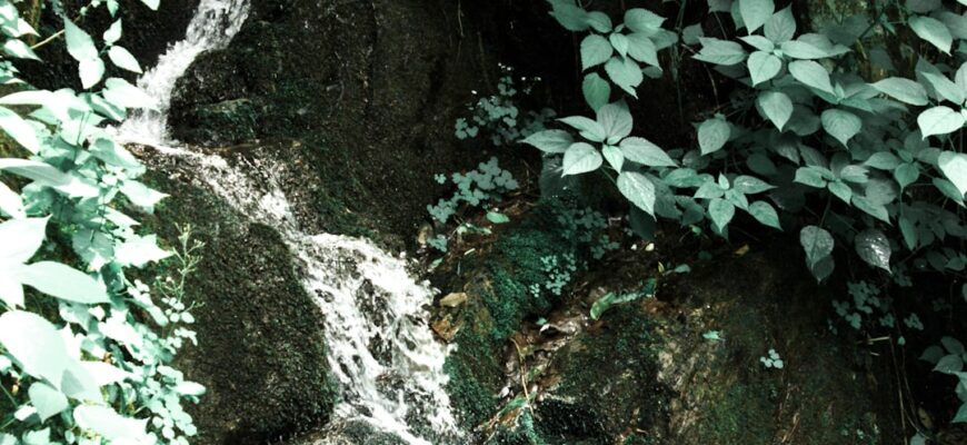 Photo Водопад Шипот