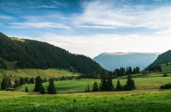 Photo Підгорецький замок