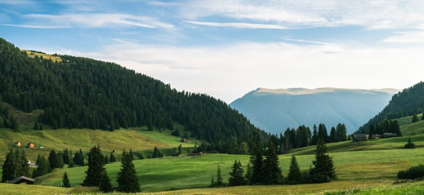 Photo Підгорецький замок