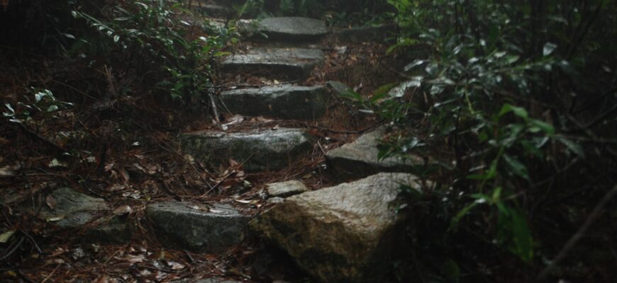 Photo Potemkin Steps