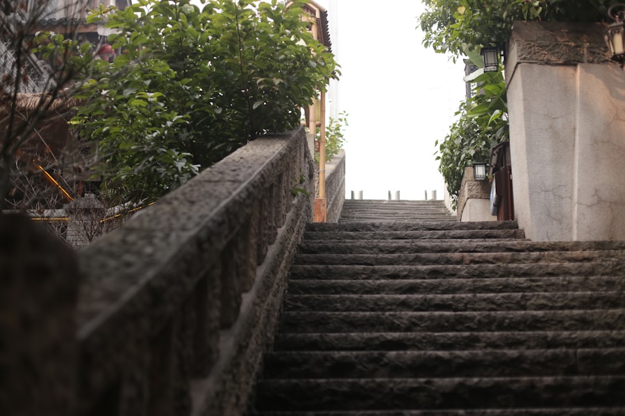 Photo Potemkin Steps