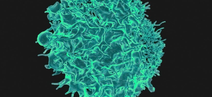 Photo strengthen immunity